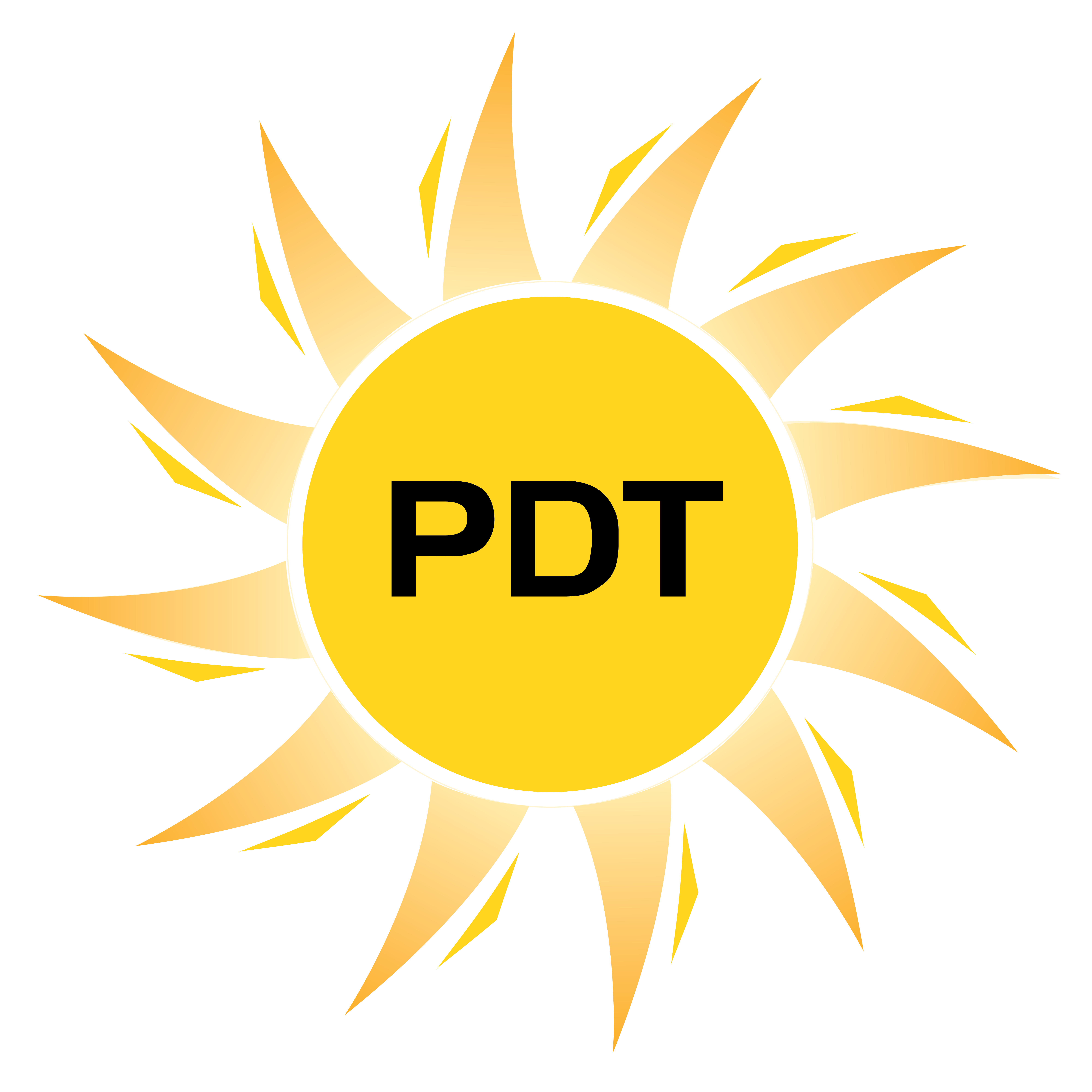 PDT Logo